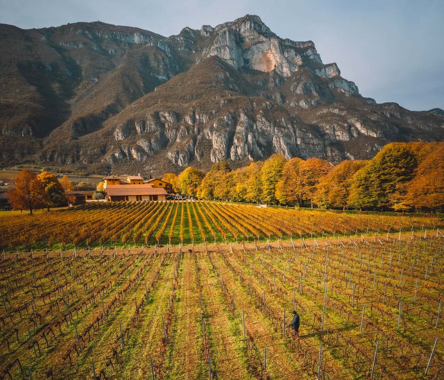 Sanleonardo Weingut