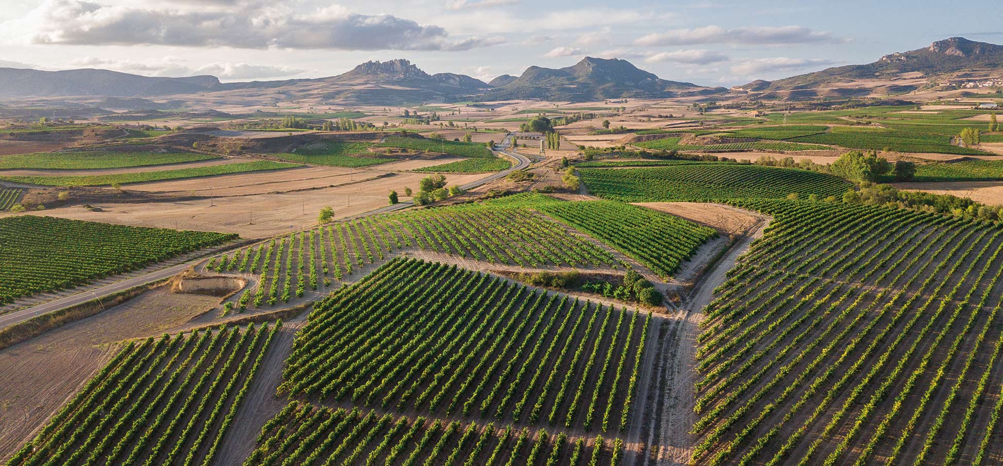 E Rioja Gross