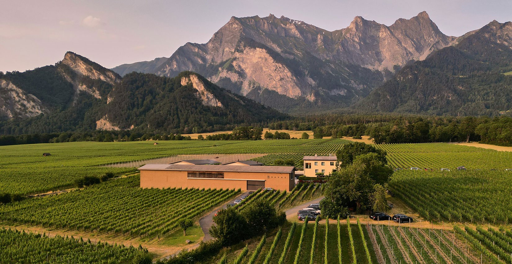 Davaz Weingut 1 Davaz Weingut 1