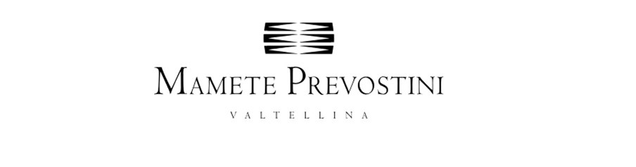 02 WW Mprevostini Logo Weiss (1) 02 WW Mprevostini Logo Weiss (1)
