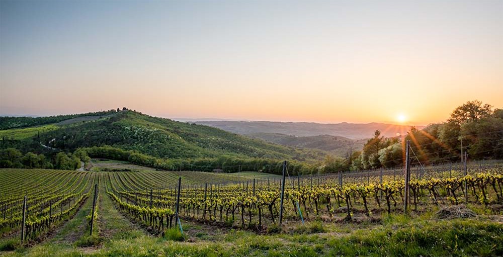 Poggio 20 Poggio 20
