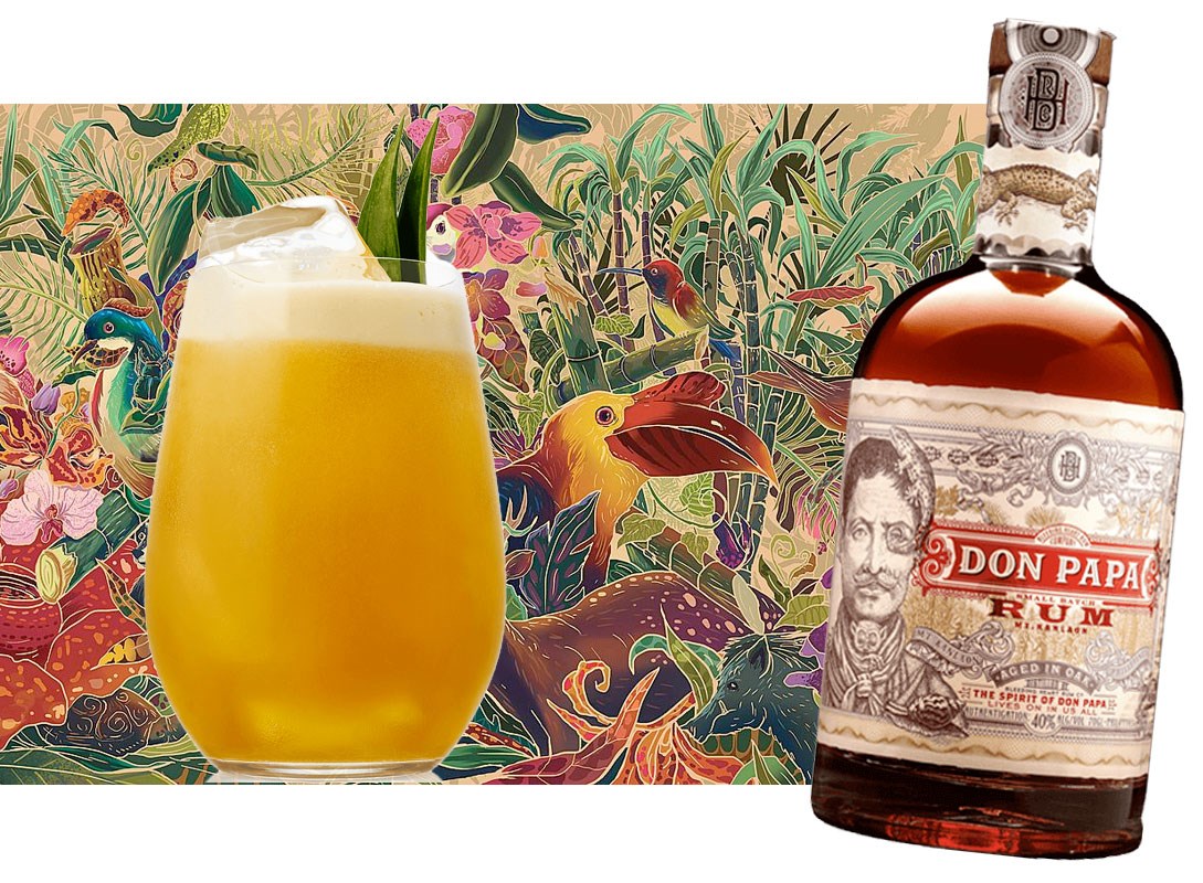 DONPAPA 01 DONPAPA 01