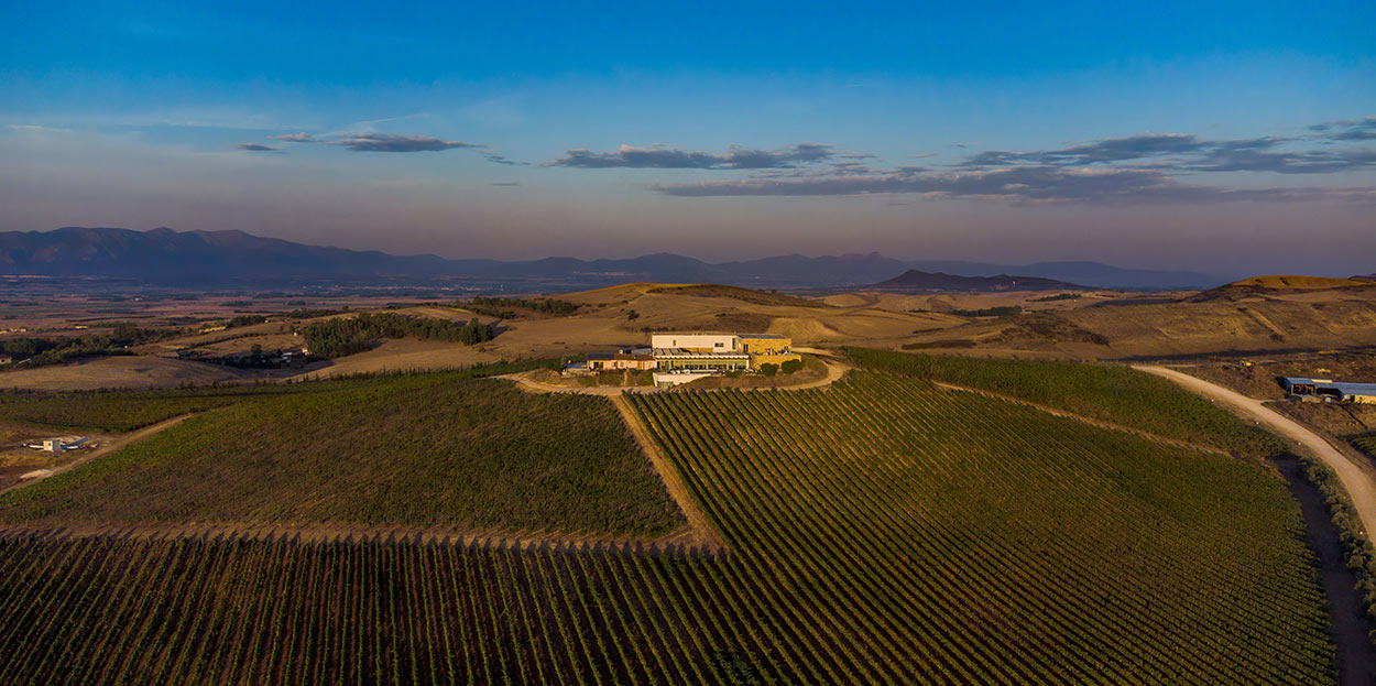 Suentu Weingut