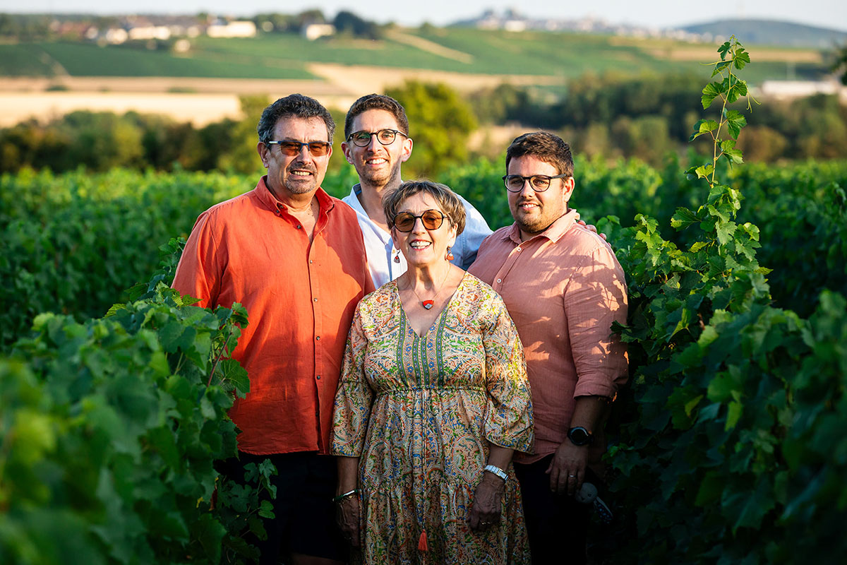 Vignobles Berthier