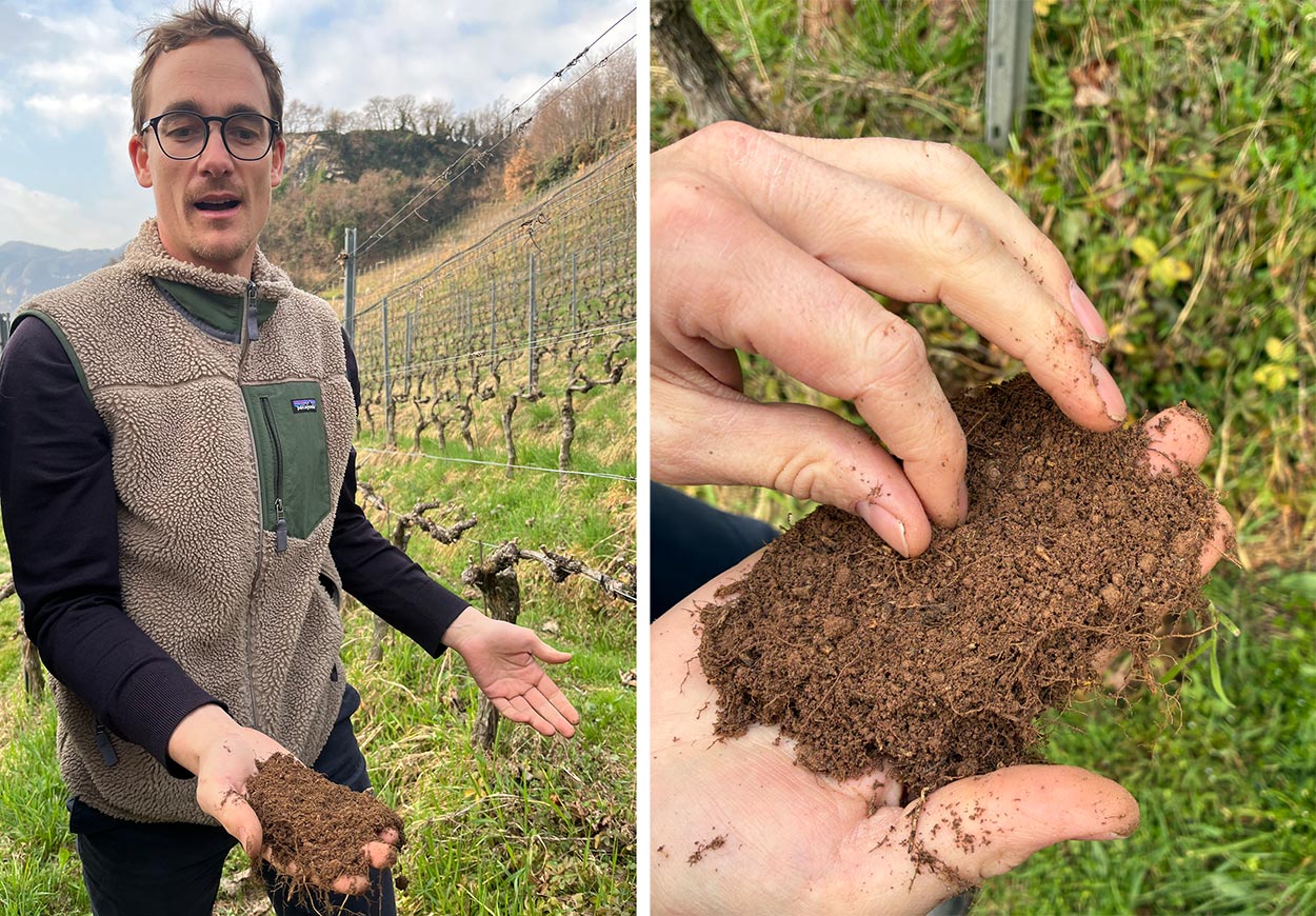 Suedtrirol Trentino Terra1