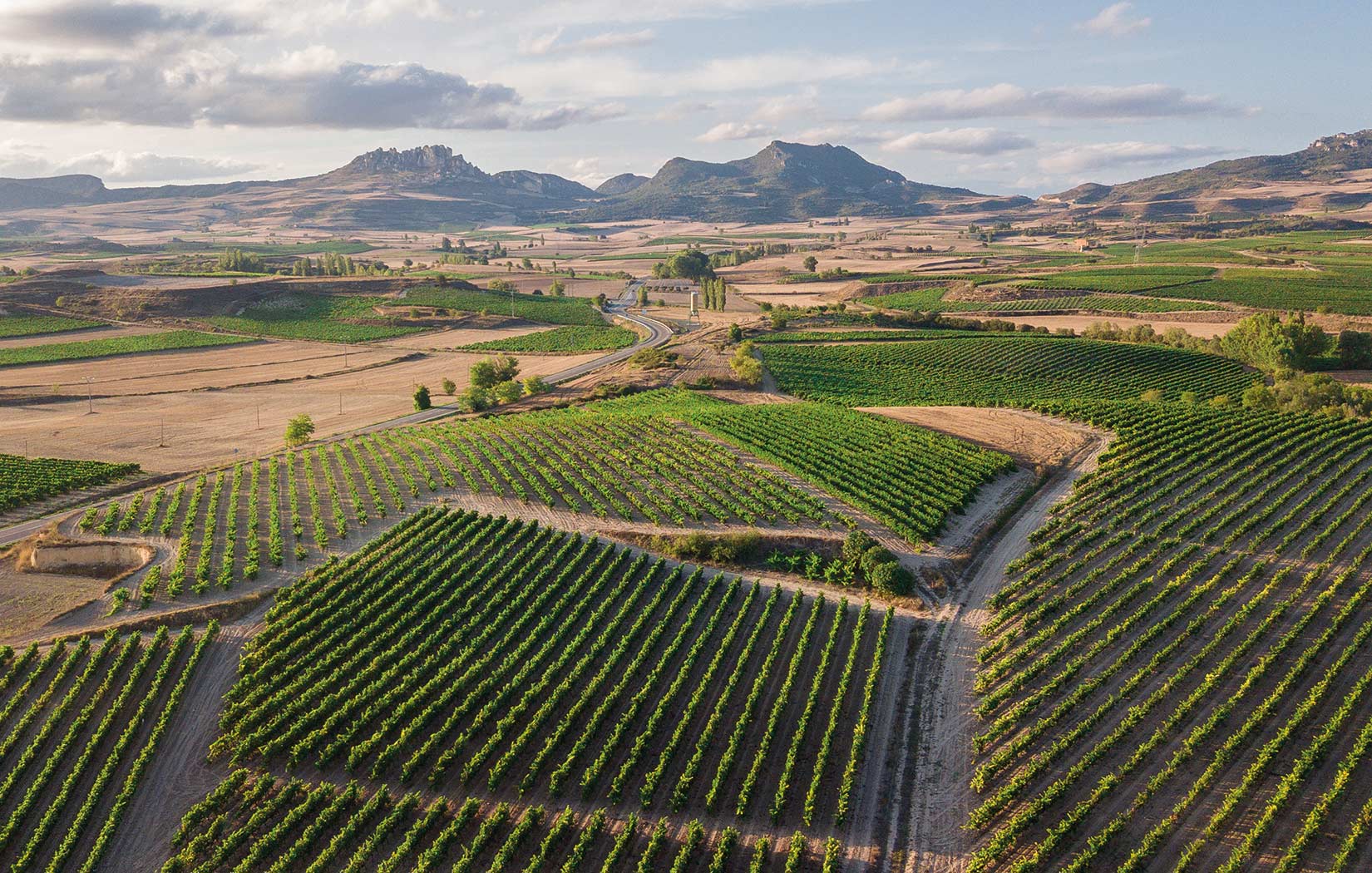E Rioja