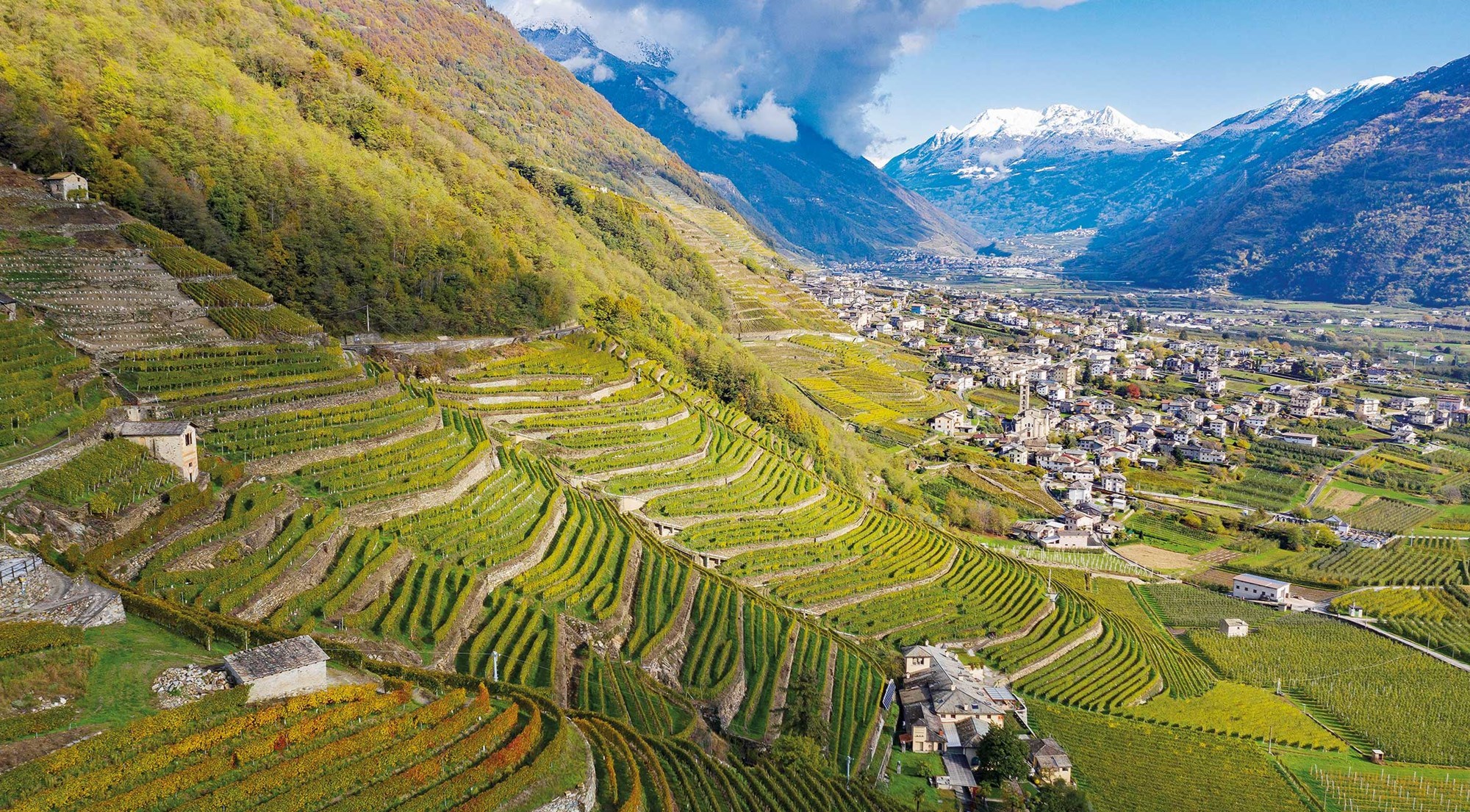 Valtellina Rebberg Sondrio Valtellina Rebberg Sondrio