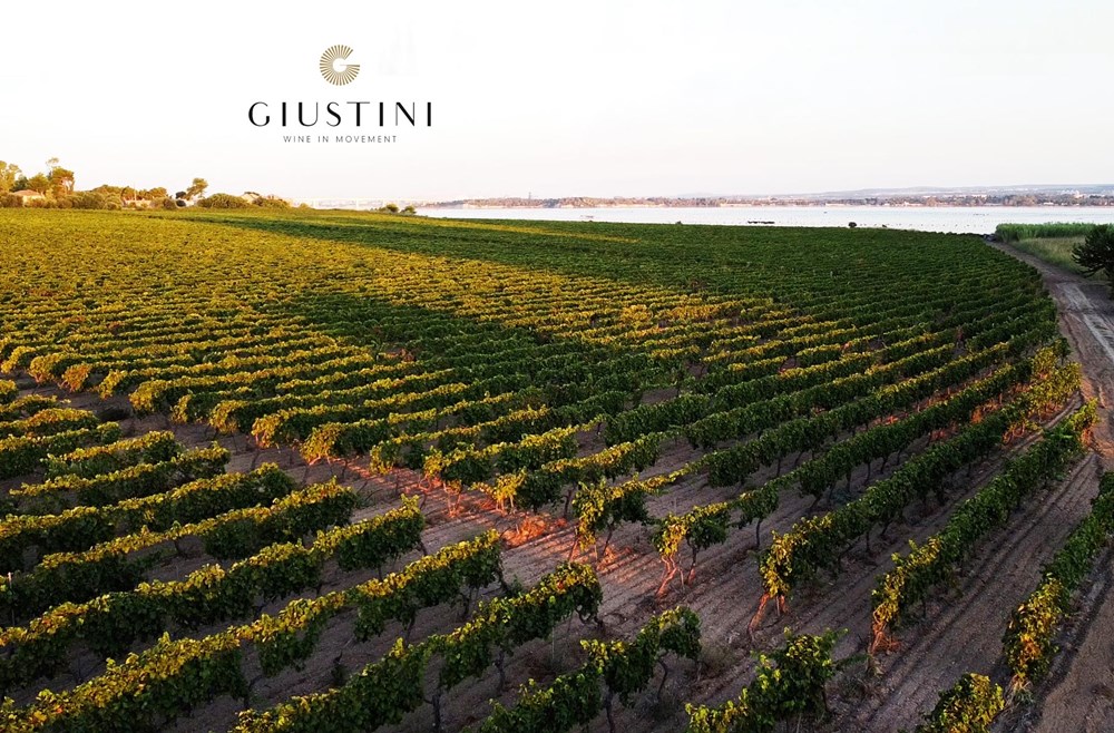 Giustini 01 Giustini 01