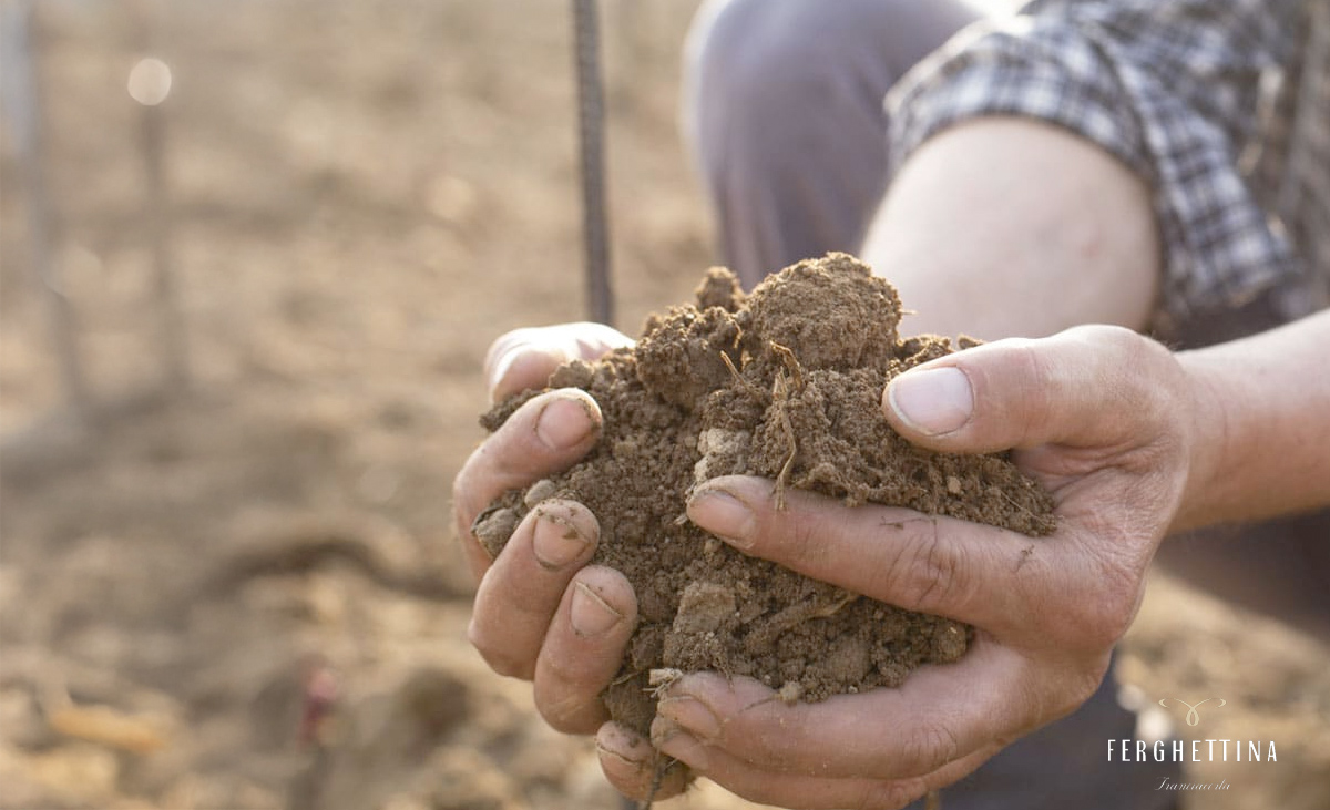 Ferghettina Terroir Schmal