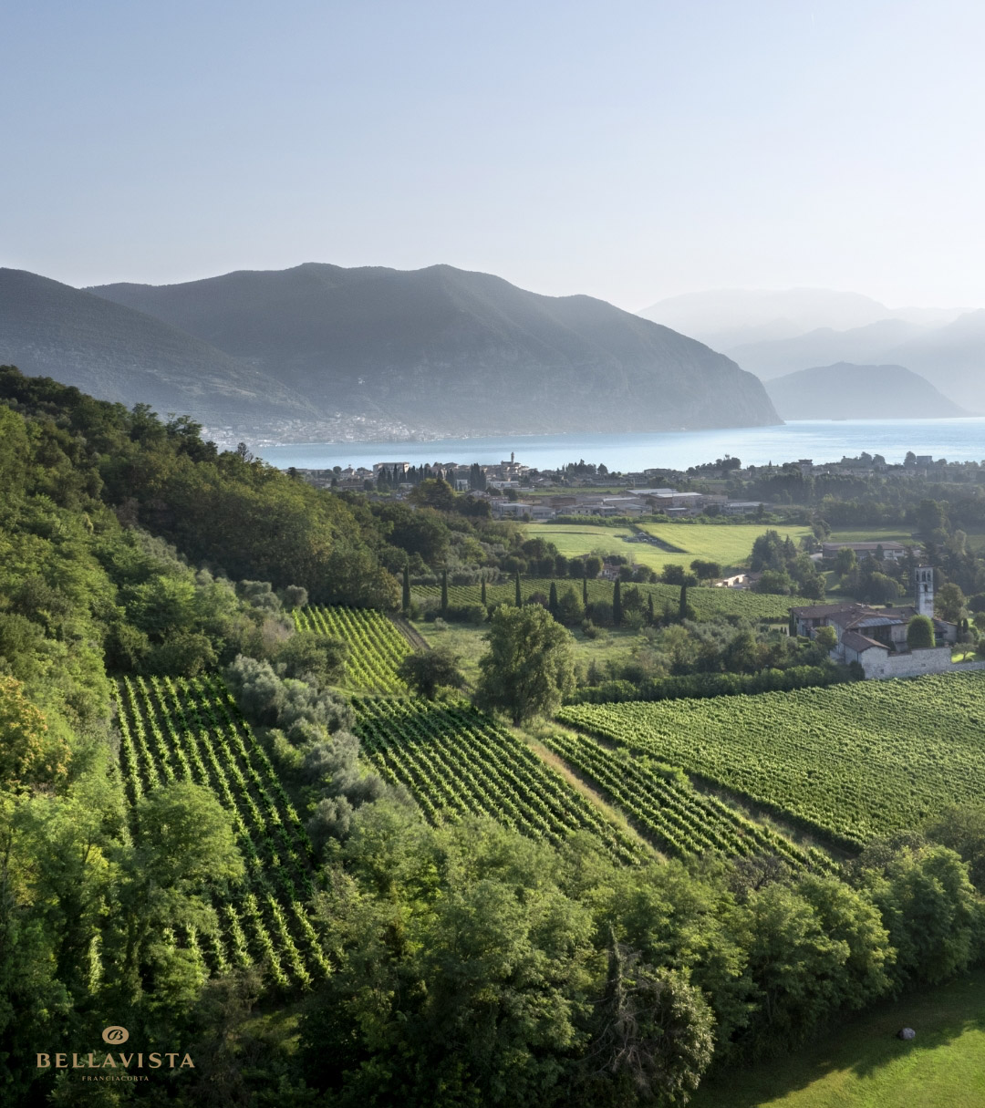 B Rebberg Geschichte