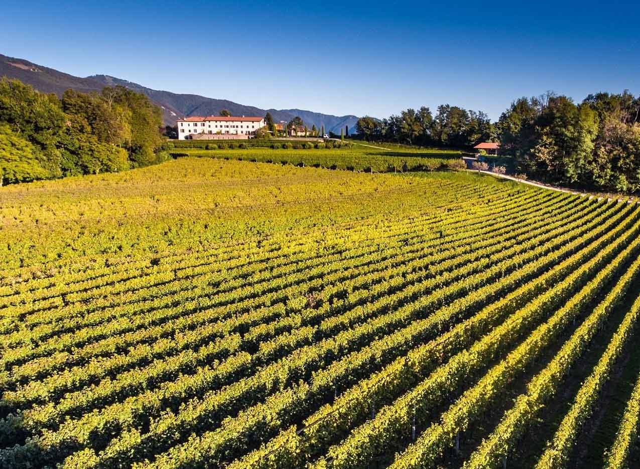 Deguagriloro Kl
