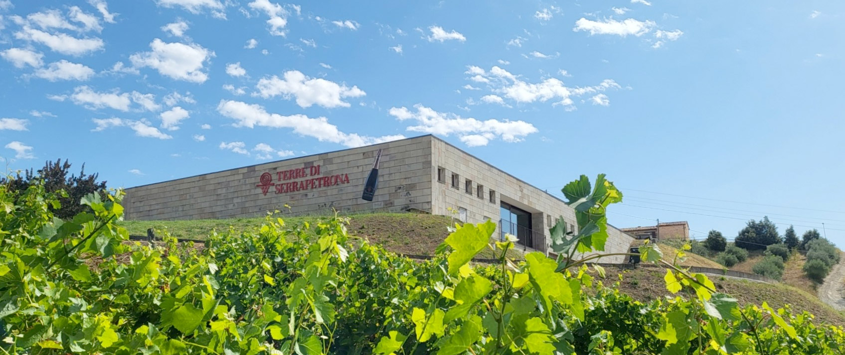 Serrapetrona Weingut