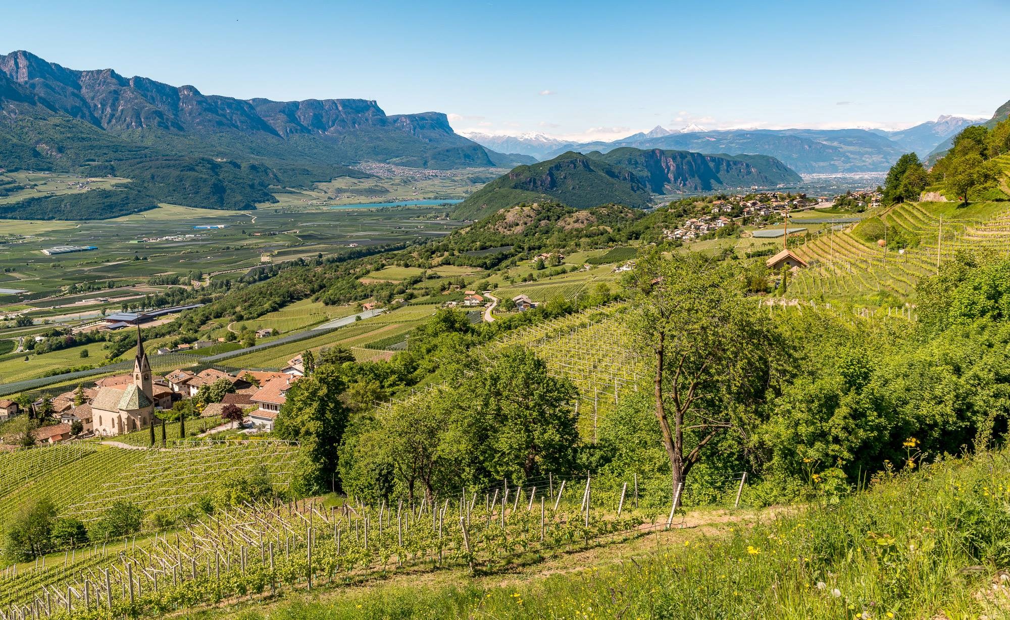 Castelfederwinery Meurer