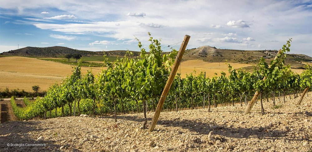 Bodegascarramimbre Riberadelduero Bodegascarramimbre Riberadelduero