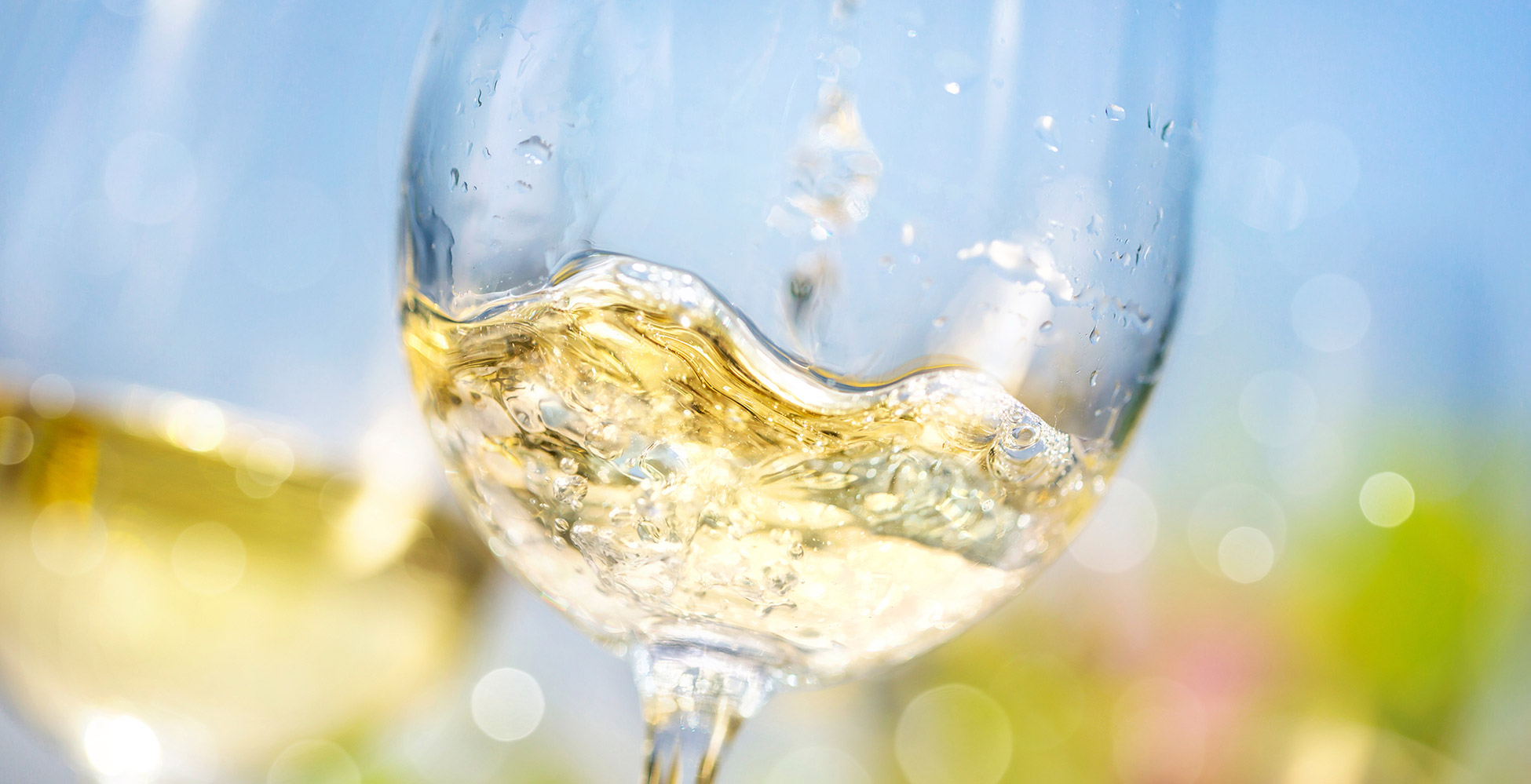 Glas Weisswein Sommer Tit