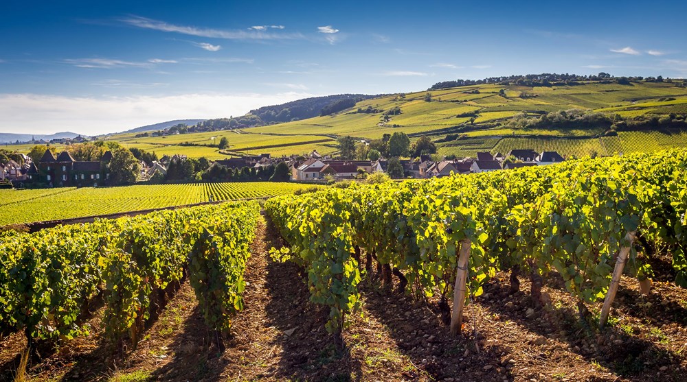 Valentinwine Burgund Valentinwine Burgund