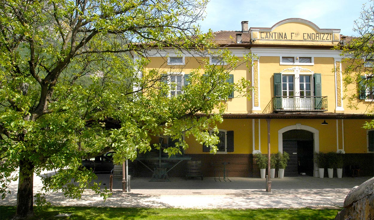 Endrizzi Weingut