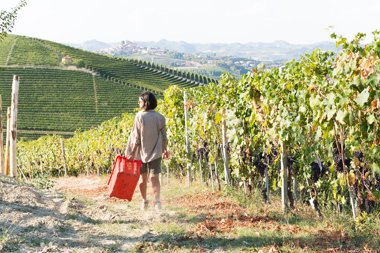 Mood2 Weinreise Piemont2026 Valentin Wine