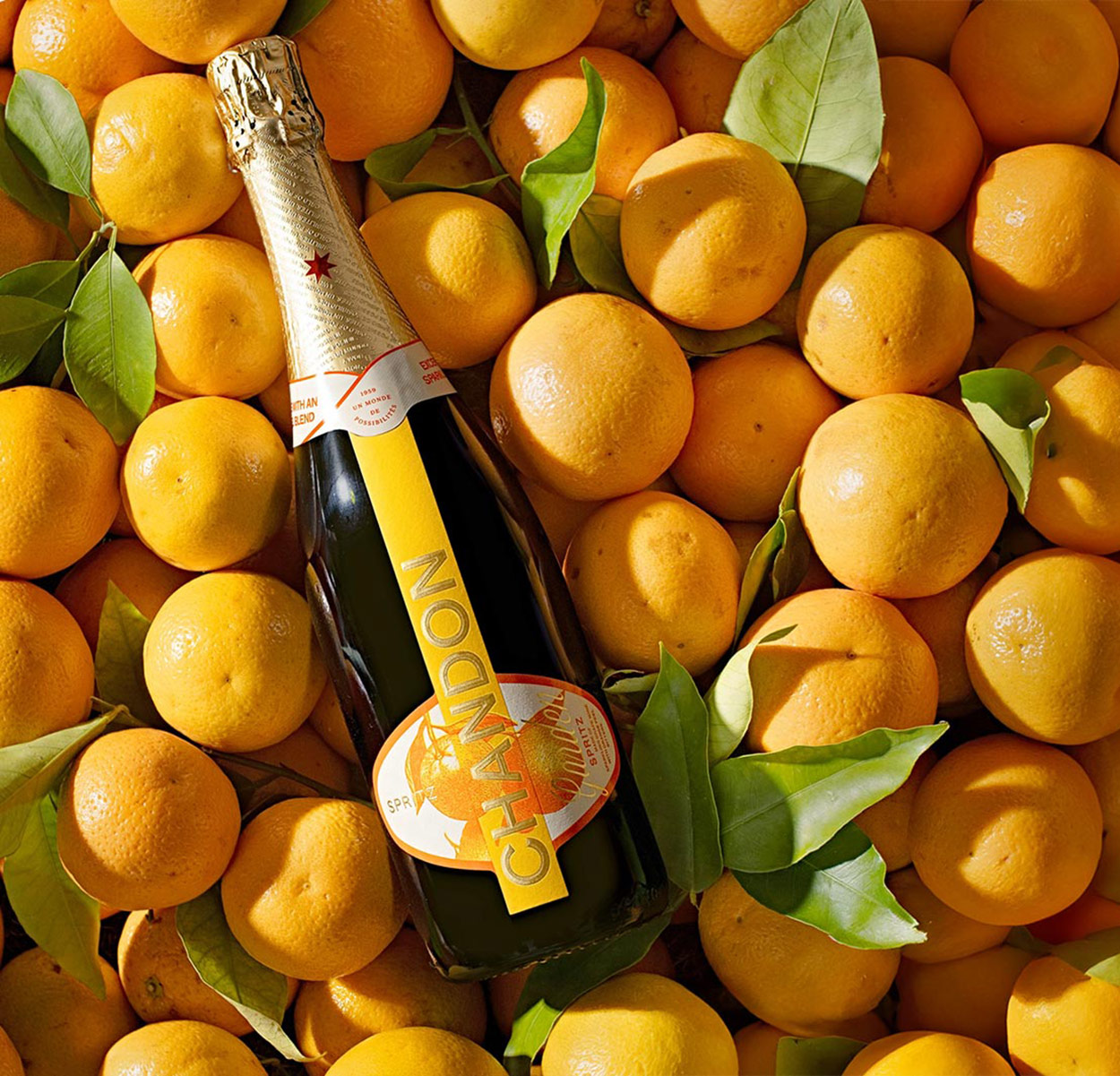 Chandon Flasche Orangen