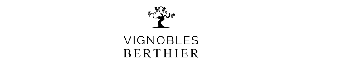 01 LOGO Berthier