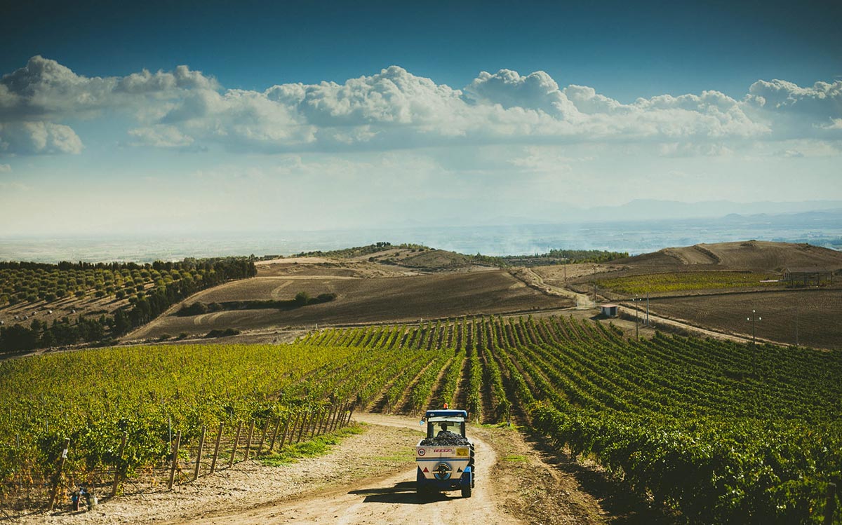 Sardinien Suentu Valentin Wine