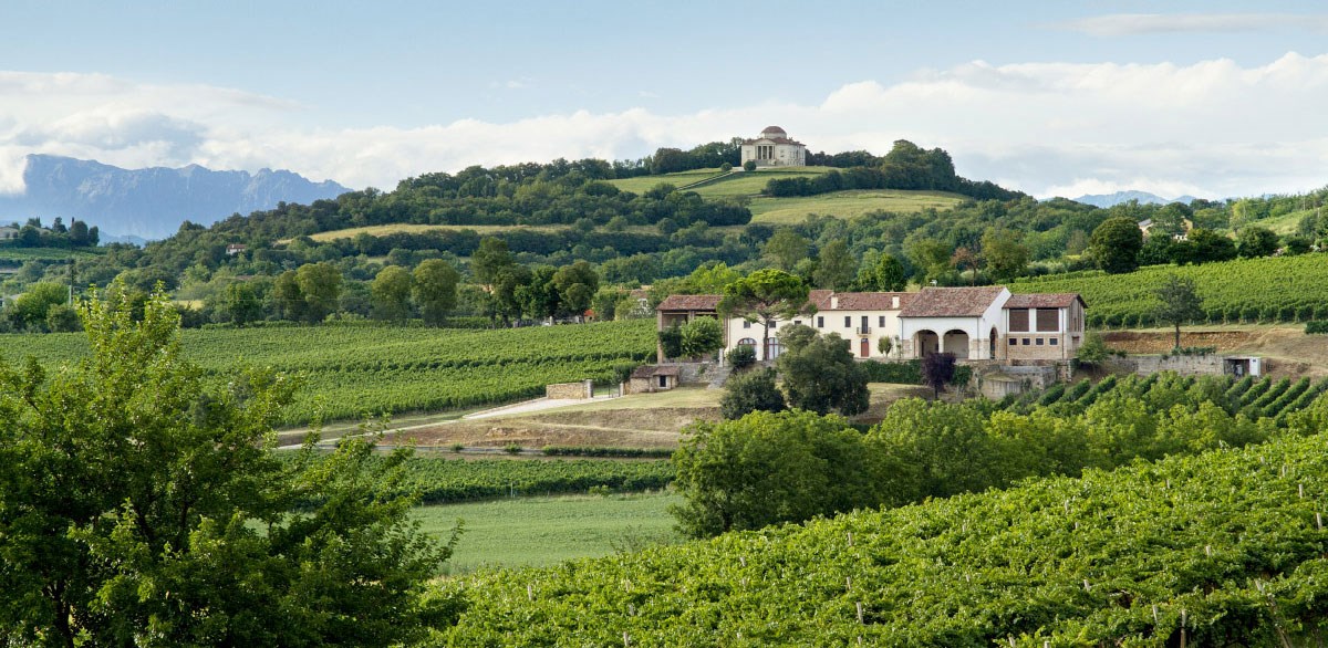 Inama Weingut2