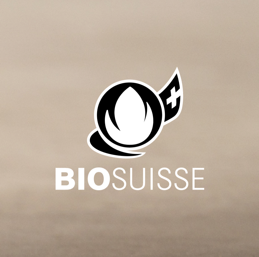 Bildschirmfoto 2022 08 15 Um 133310