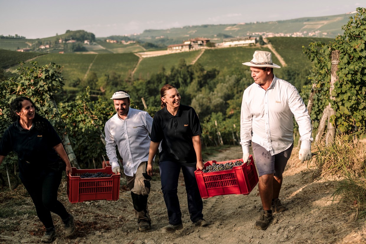 Mood Weinreise Piemont2026 Valentin Wine