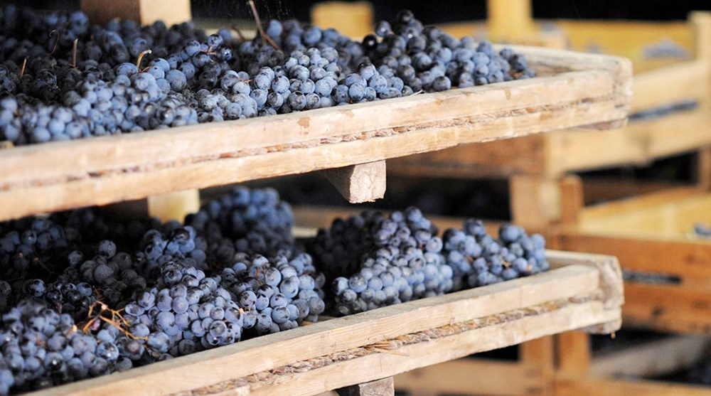 Amarone Kisten Schmal Amarone Kisten Schmal