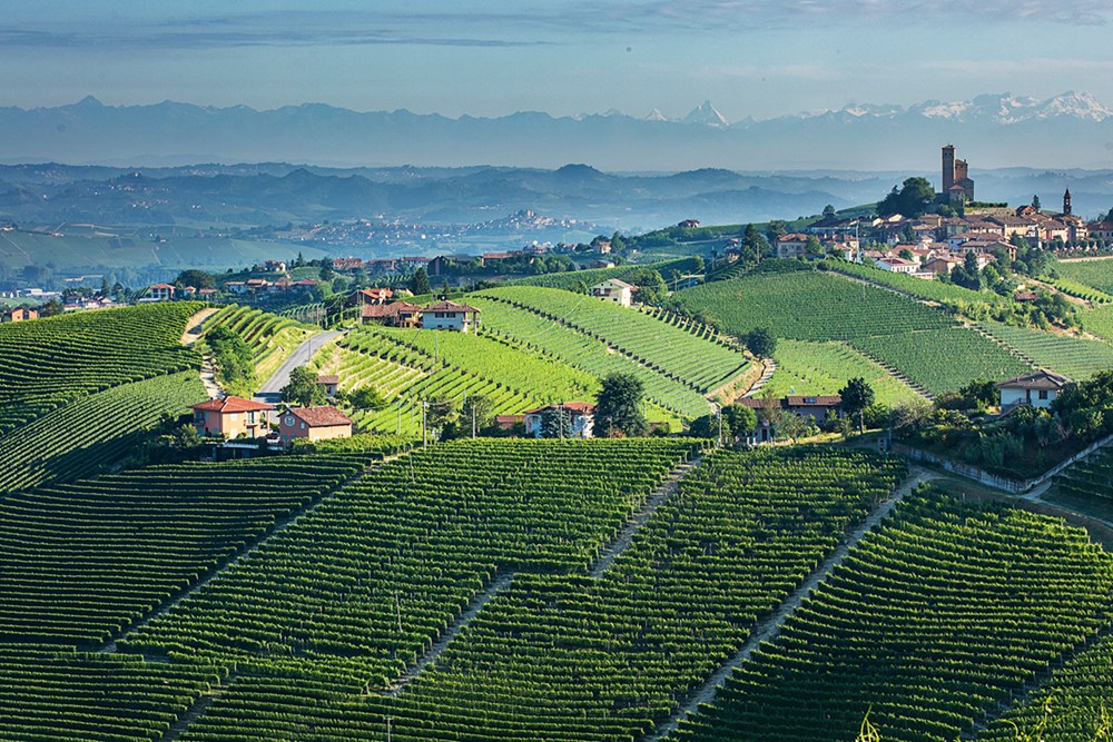 Weinreise Piemont2026 Valentin Wine