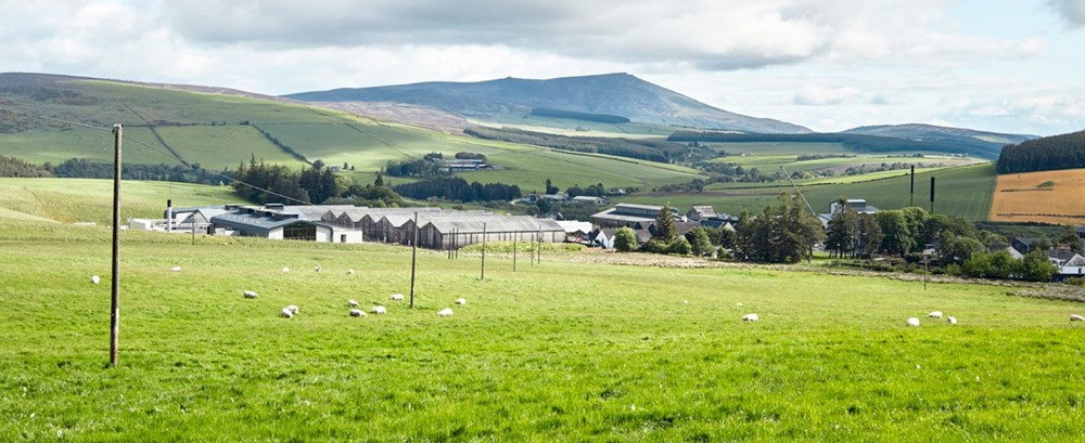 Glenlivet Land Glenlivet Land