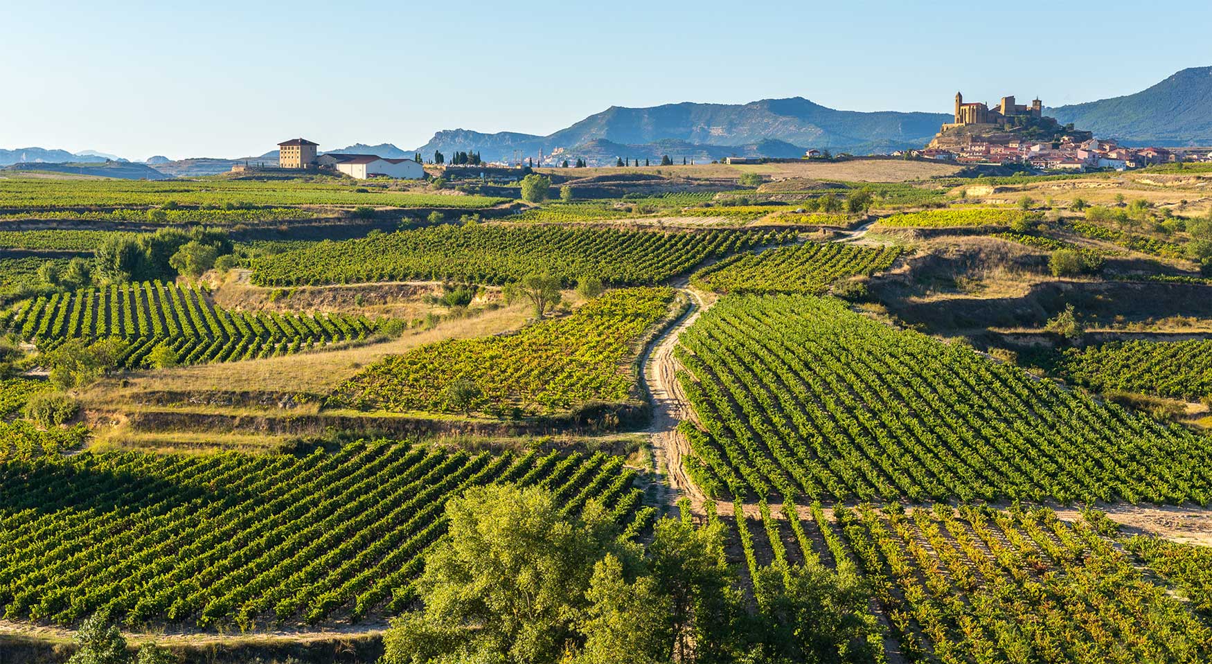 RIOJA 02