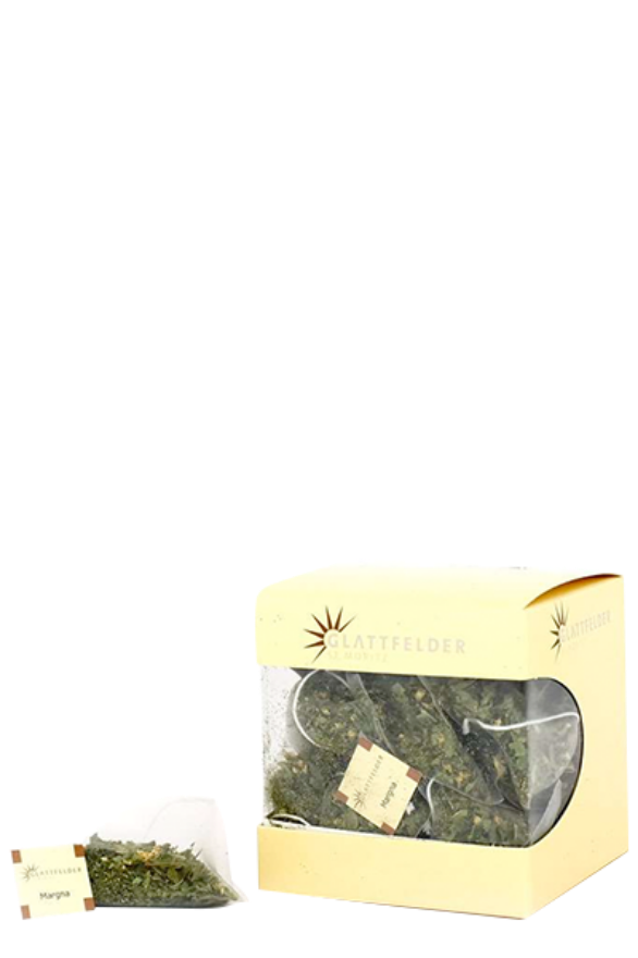 Pyramiden Margna Bio Tee Pyramiden Margna Bio Tee