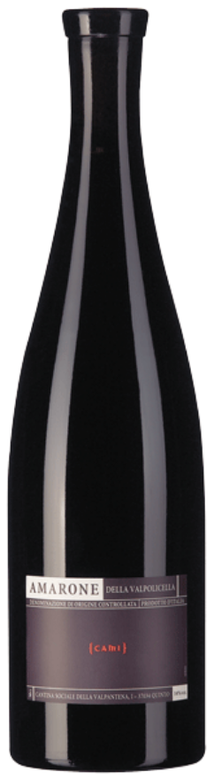 Amarone Premium Cami, Amarone della Valpolicella DOCG, Molinara, Rondinella, Corvina, Veneto