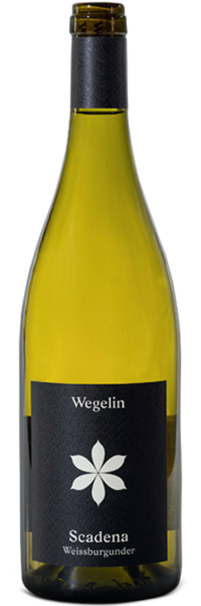 Malanser Weissburgunder Scadena 2019 Peter Wegelin Malanser Weissburgunder Scadena 2019 Peter Wegelin