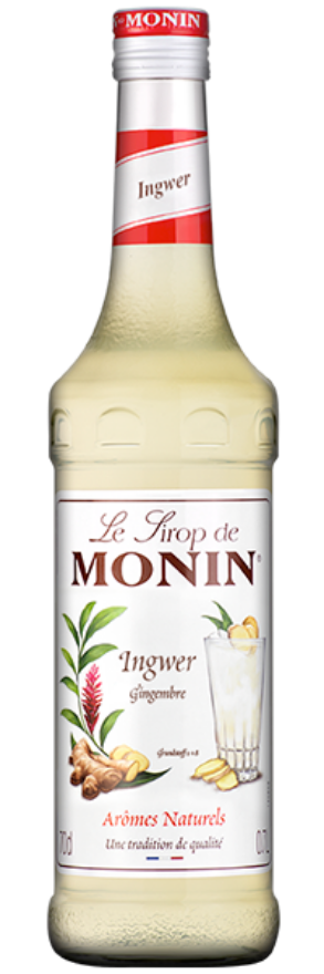 Ingwer Sirup Monin