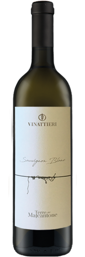 Sauvignon Blanc 2019 Terre del Malcantone, Ticino DOC, BIO, Sauvignon Blanc, Tessin