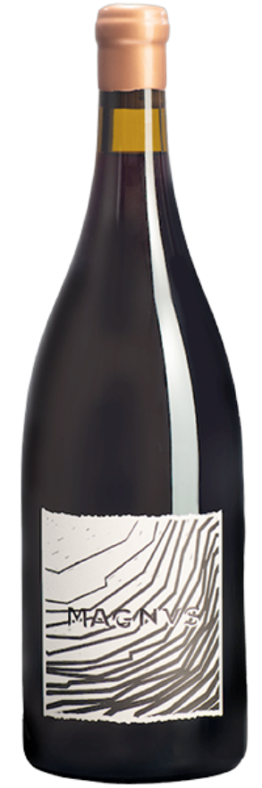 Magnus Pinot Noir 2018 Möhr-Niggli