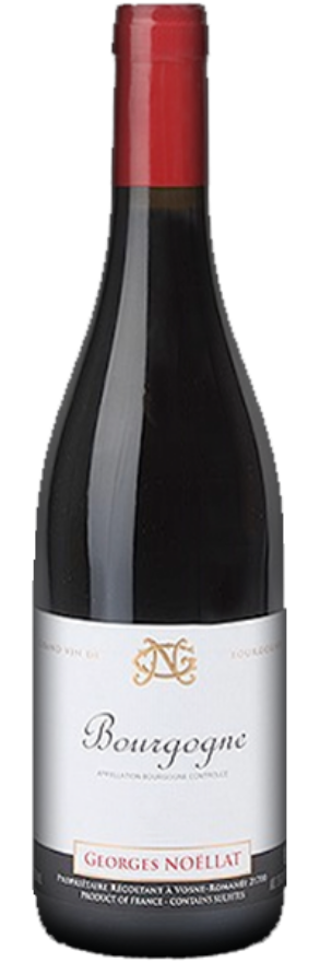 Bourgogne Rouge 2019 Noellat, Village AOC, Pinot Noir, Burgund, Côte d'Or