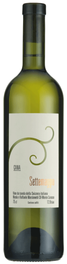 Cana bianco 2020 Cantina Settemaggio Cana bianco 2020 Cantina Settemaggio
