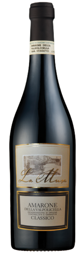 Amarone La Musa 2018 Cantina Valpolicella Negrar Amarone La Musa 2018 Cantina Valpolicella Negrar