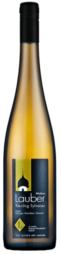 Malanser Riesling Sylvaner 2020 Andrea Lauber Malanser Riesling Sylvaner 2020 Andrea Lauber