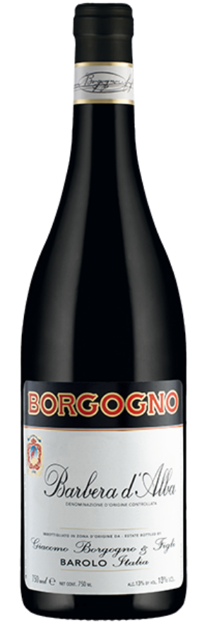Barbera d`Alba 2020 Borgogno
