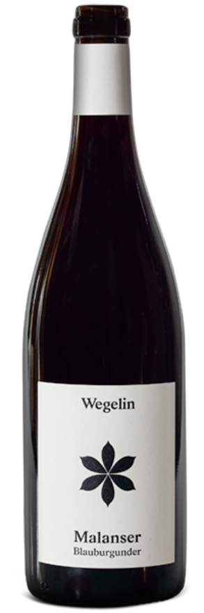 Malanser Blauburgunder 2020 Peter Wegelin Malanser Blauburgunder 2020 Peter Wegelin