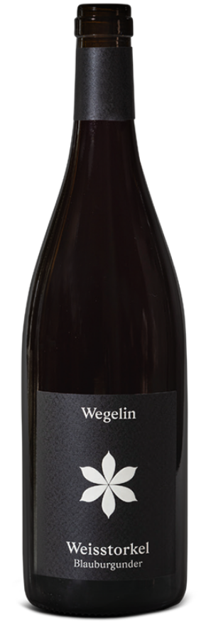Malanser Pinot Noir Weisstorkel 2019 Peter Wegelin Malanser Pinot Noir Weisstorkel 2019 Peter Wegelin
