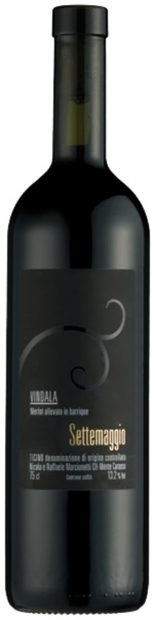 Vindala 2019 Cantina Settemaggio Vindala 2019 Cantina Settemaggio