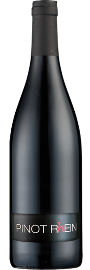 Pinot Rhein 2019 Liesch Pinot Rhein 2019 Liesch