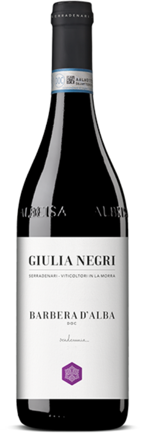 Barbera d'Alba 2020 Giulia Negri Barbera d'Alba 2020 Giulia Negri