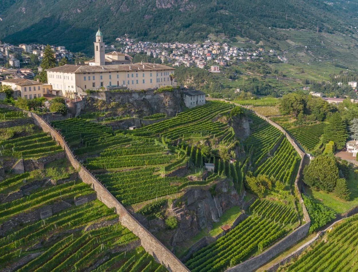 Zeige Produkte für Kategorie Convento San Lorenzo Bild für Kategorie Convento San Lorenzo