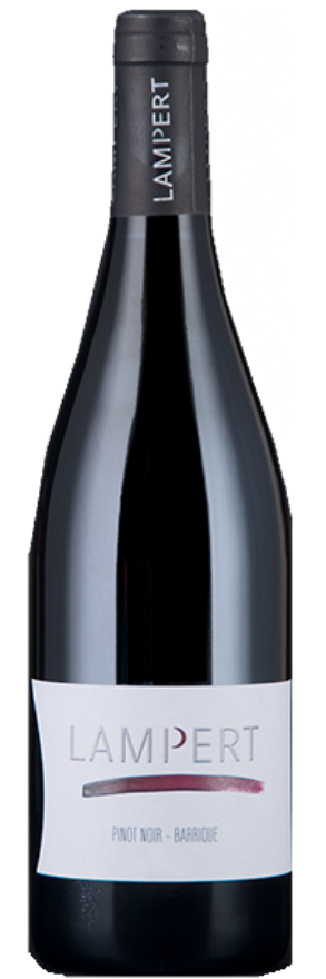 Maienfelder Pinot Noir Barrique 2021 Lampert, AOC Graubünden, Pinot Noir, Graubünden